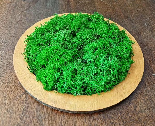 Décoration murale anneau 20 cm – Image 2